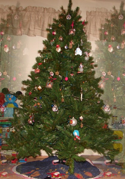 Our Christmas tree Photo